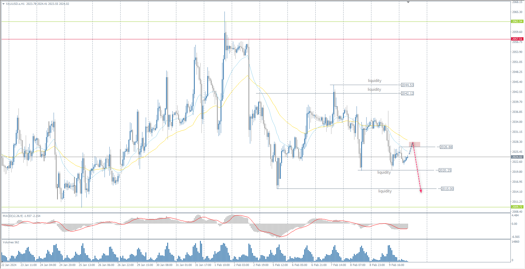 The XAU/USD currency pair (gold)