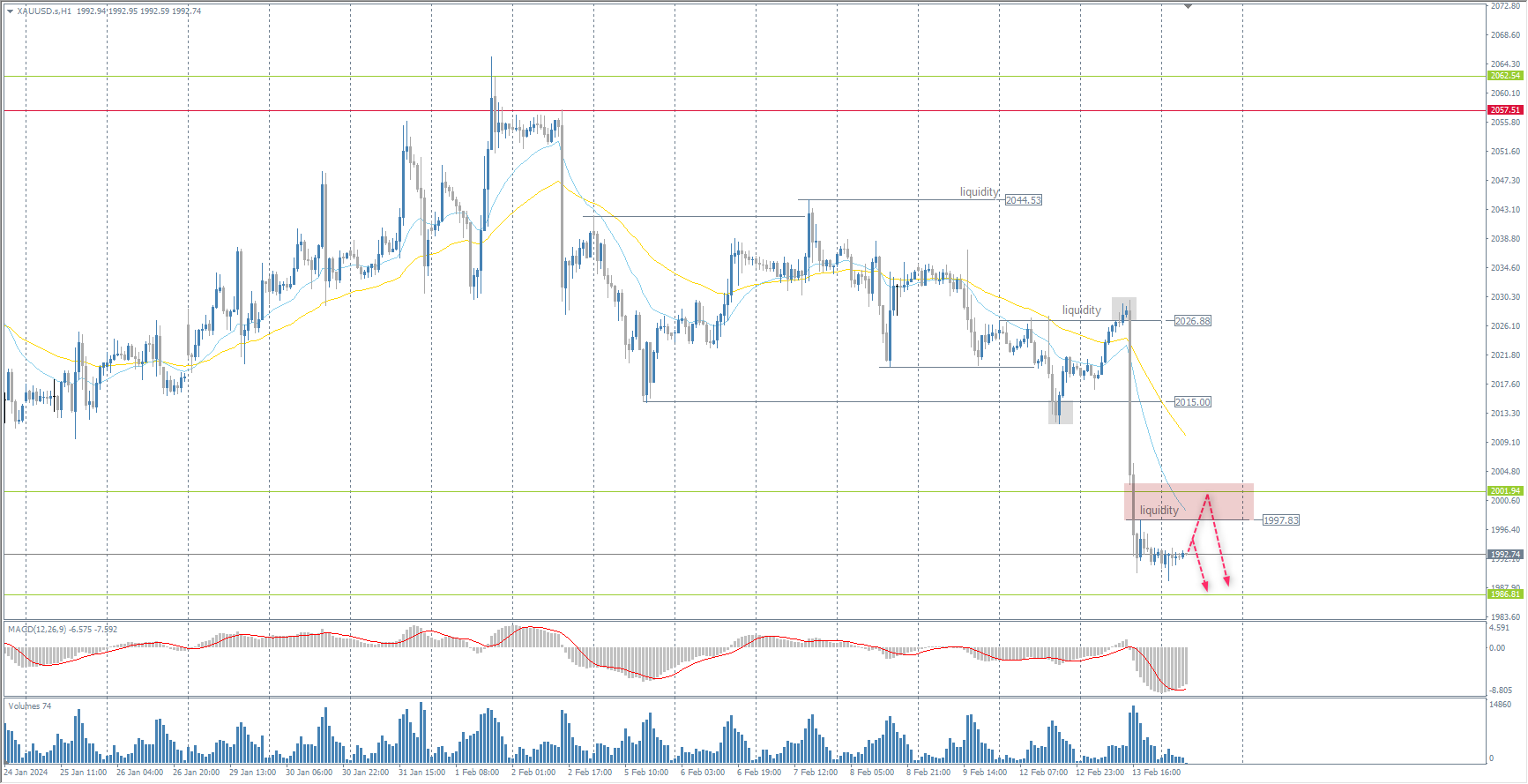 The XAU/USD currency pair (gold)