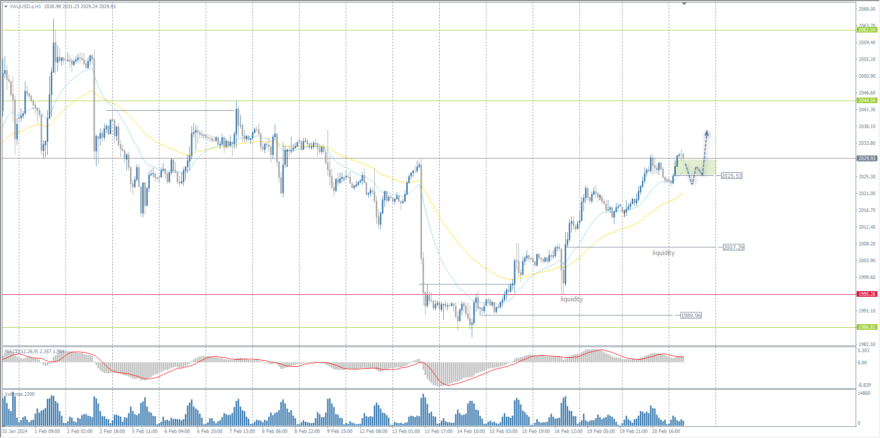 The XAU/USD currency pair (gold)