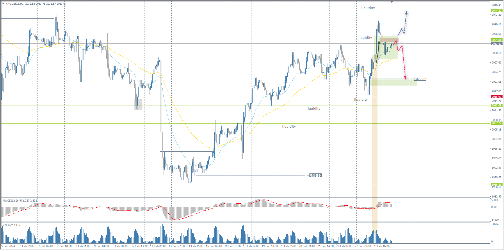 The XAU/USD currency pair (gold)