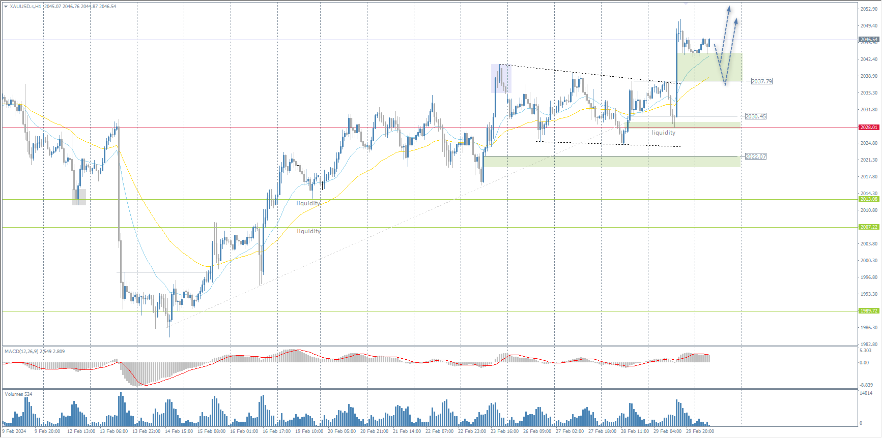 The XAU/USD currency pair (gold)