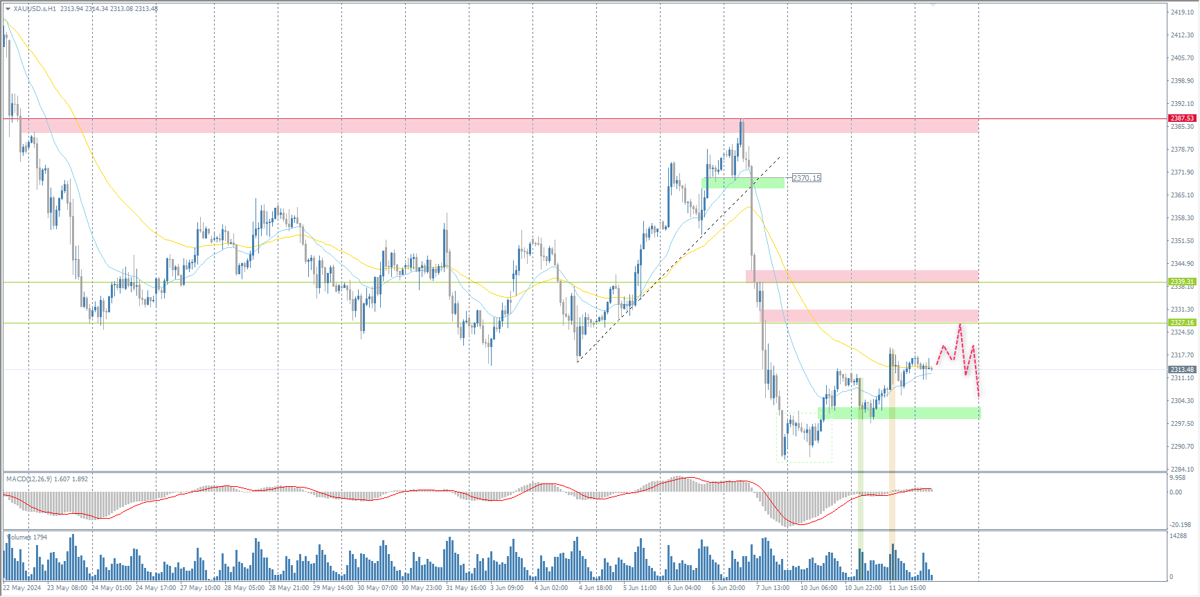 The XAU/USD currency pair (gold)