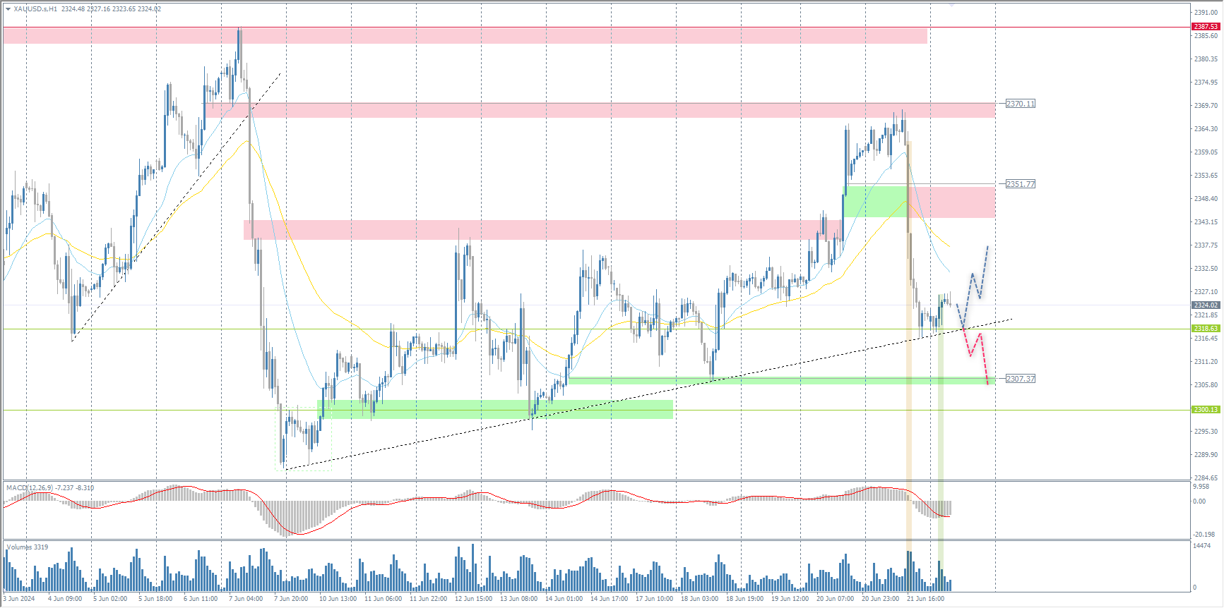 The XAU/USD currency pair (gold)