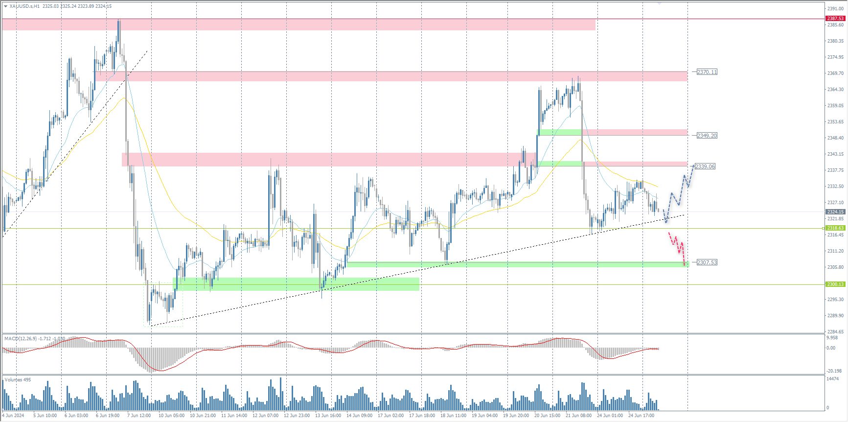 The XAU/USD currency pair (gold)