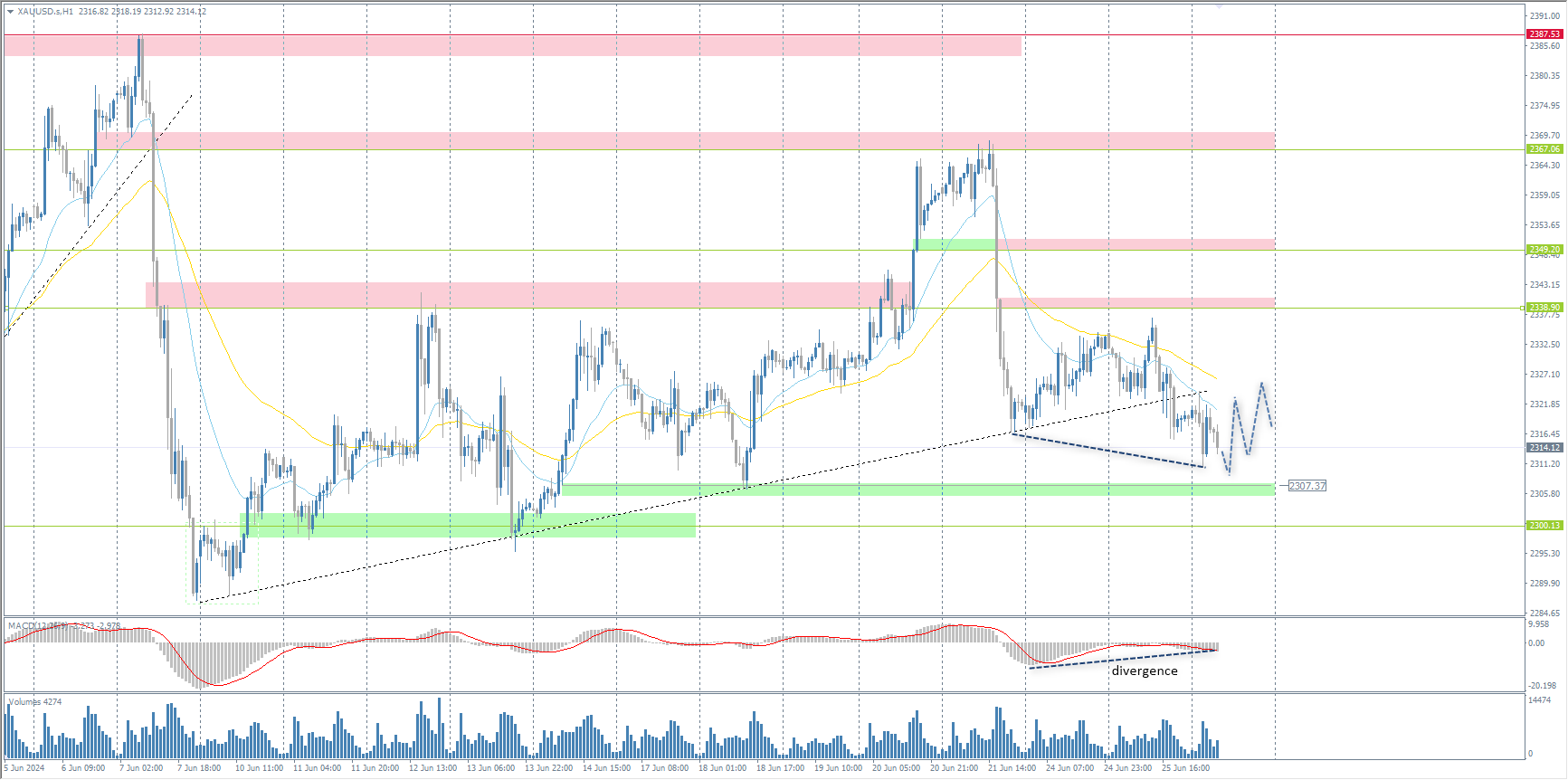 The XAU/USD currency pair (gold)