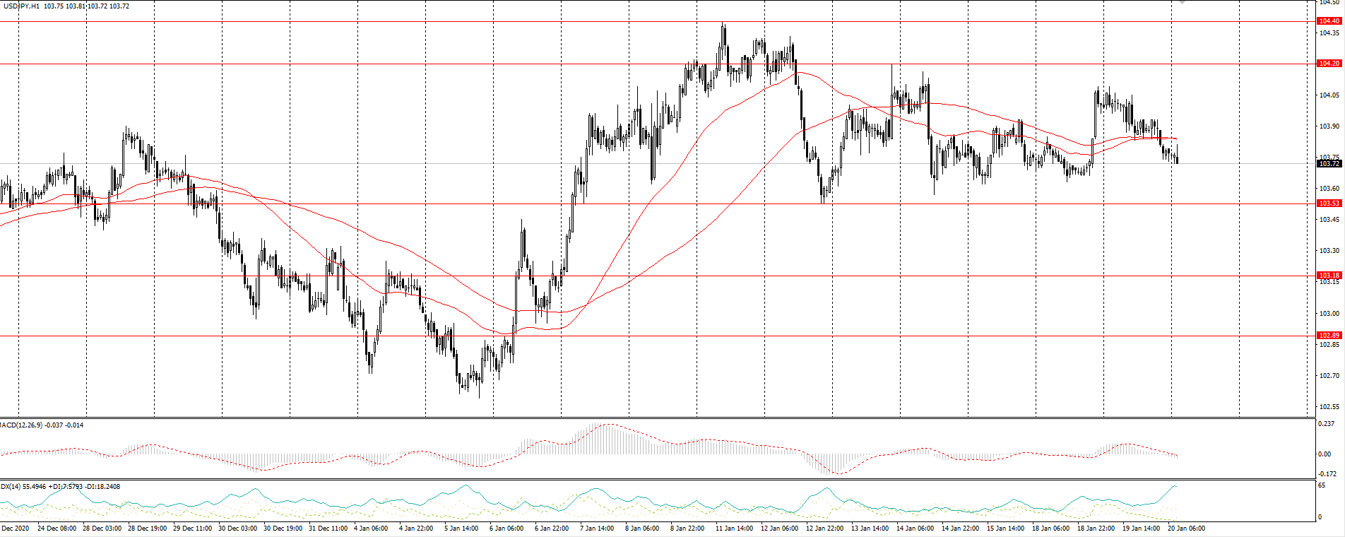  The USD/JPY currency pair 