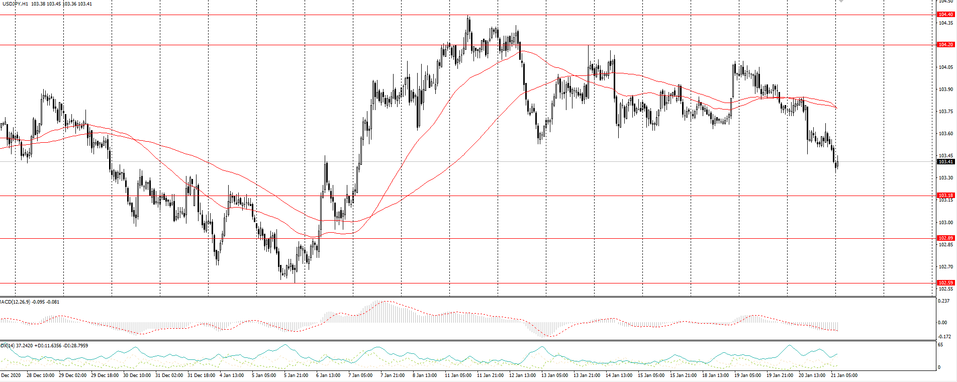  The USD/JPY currency pair 