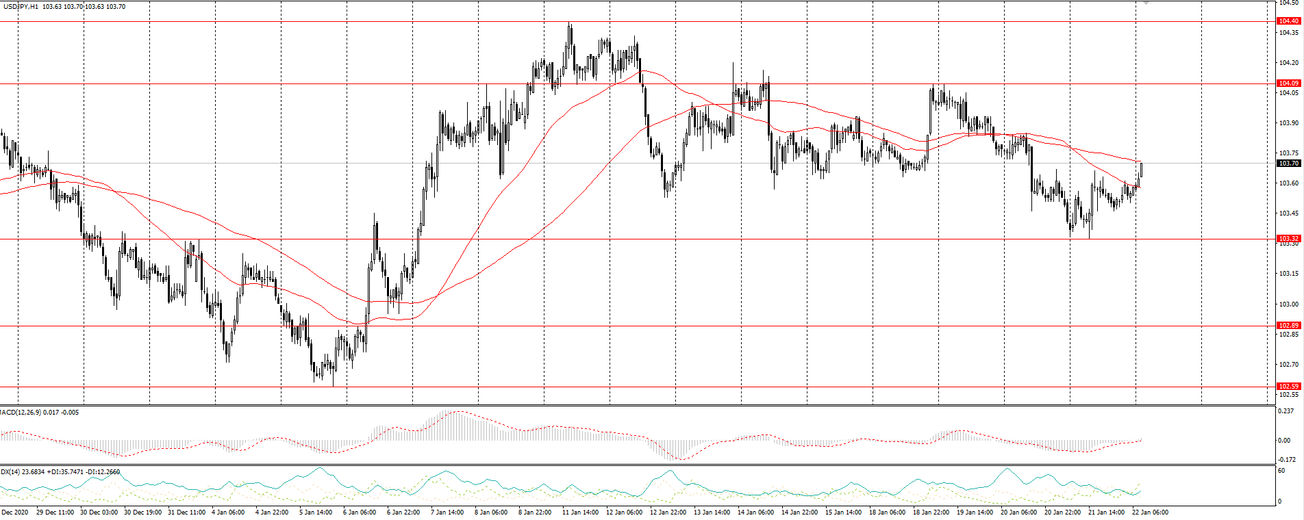  The USD/JPY currency pair 