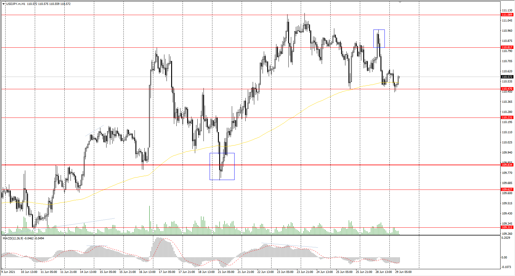  The USD/JPY currency pair 