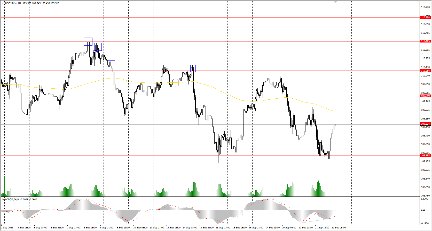  The USD/JPY currency pair 