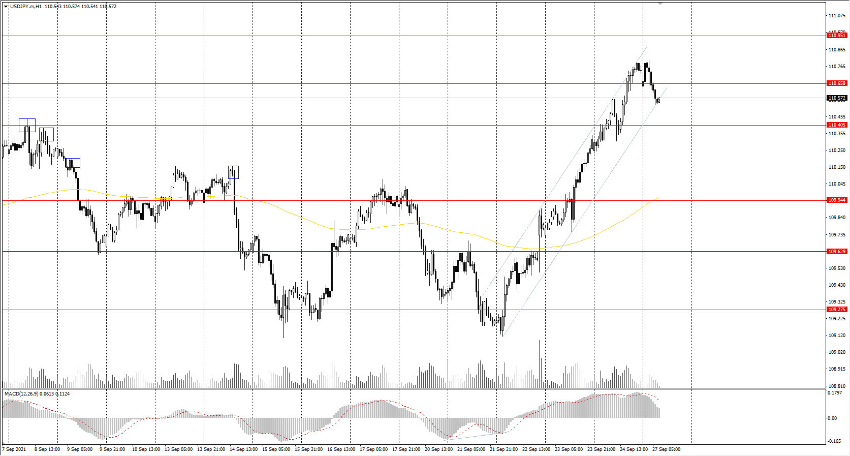  The USD/JPY currency pair 