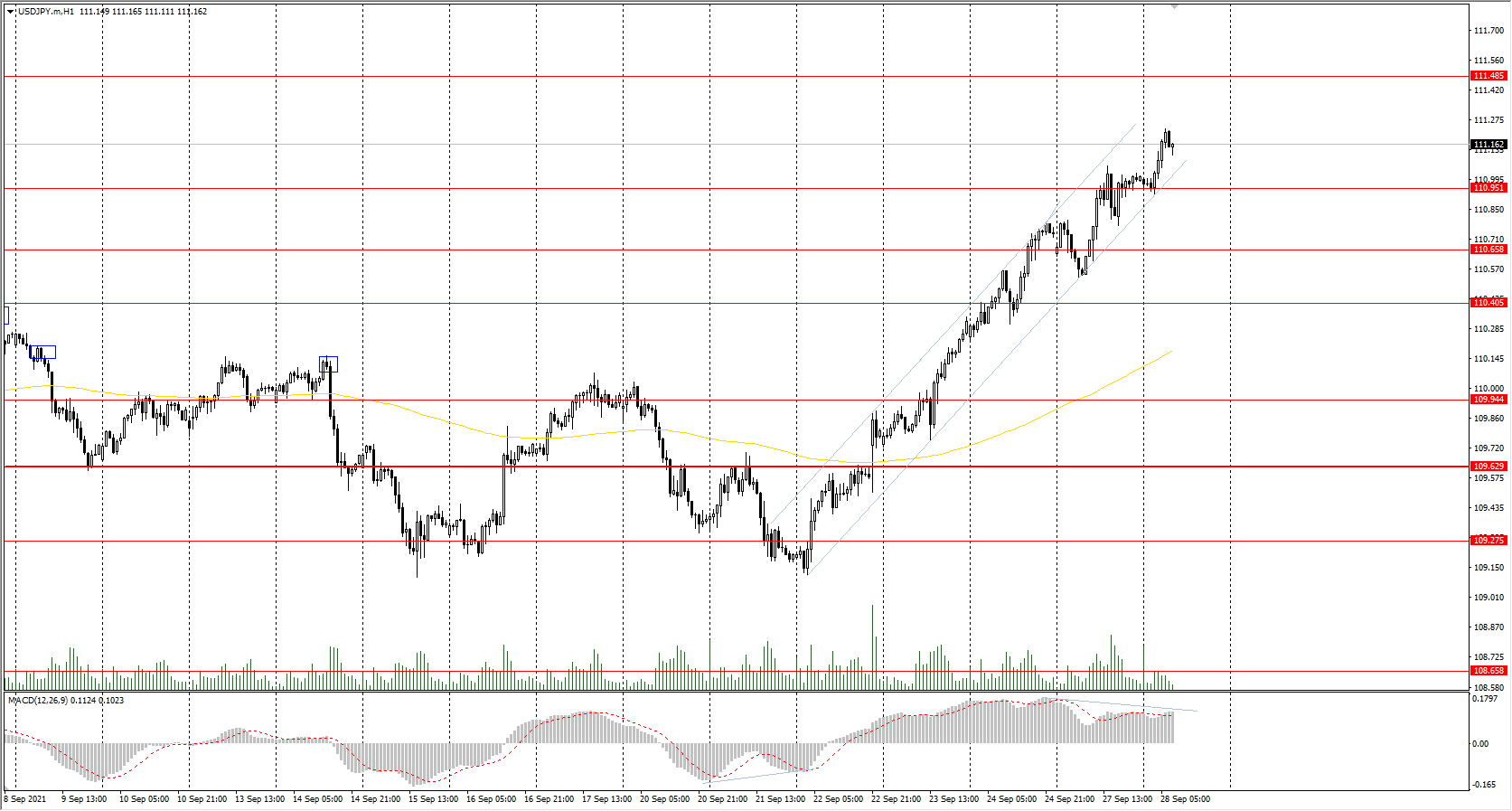  The USD/JPY currency pair 
