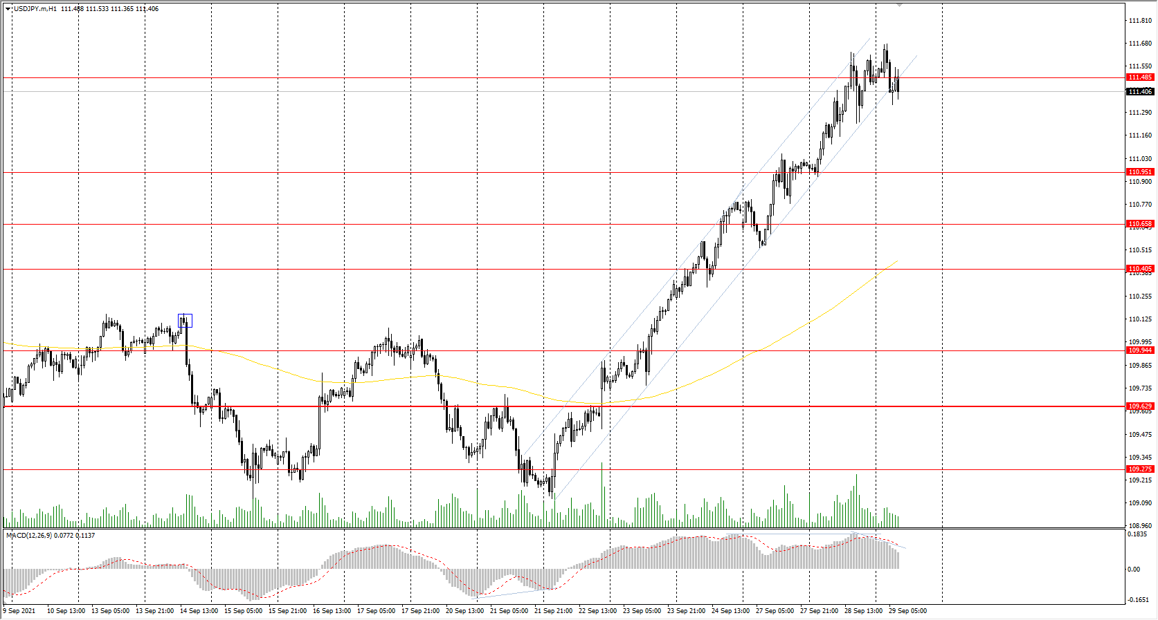  The USD/JPY currency pair 