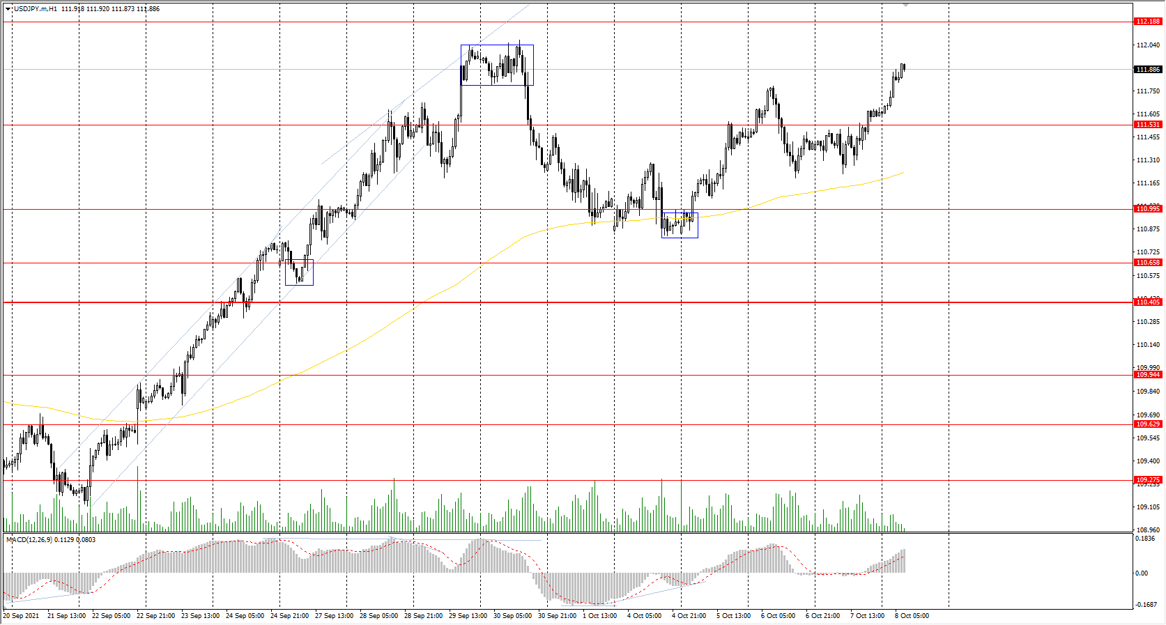  The USD/JPY currency pair 