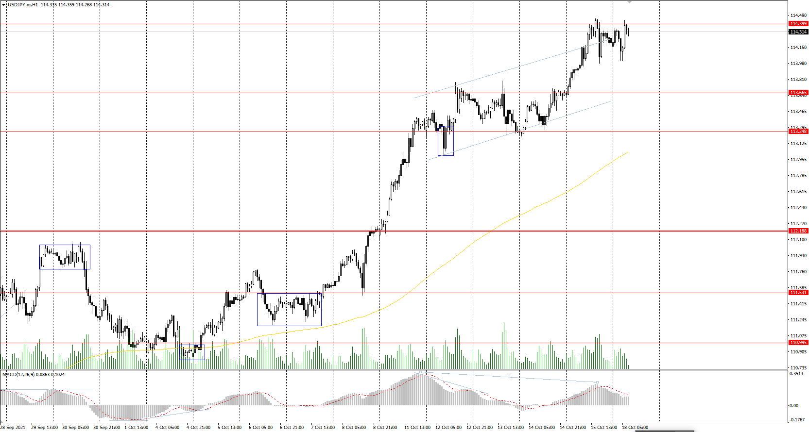  The USD/JPY currency pair 