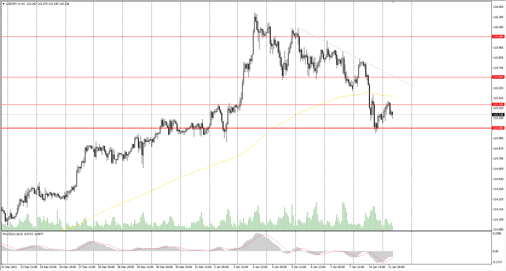  The USD/JPY currency pair 