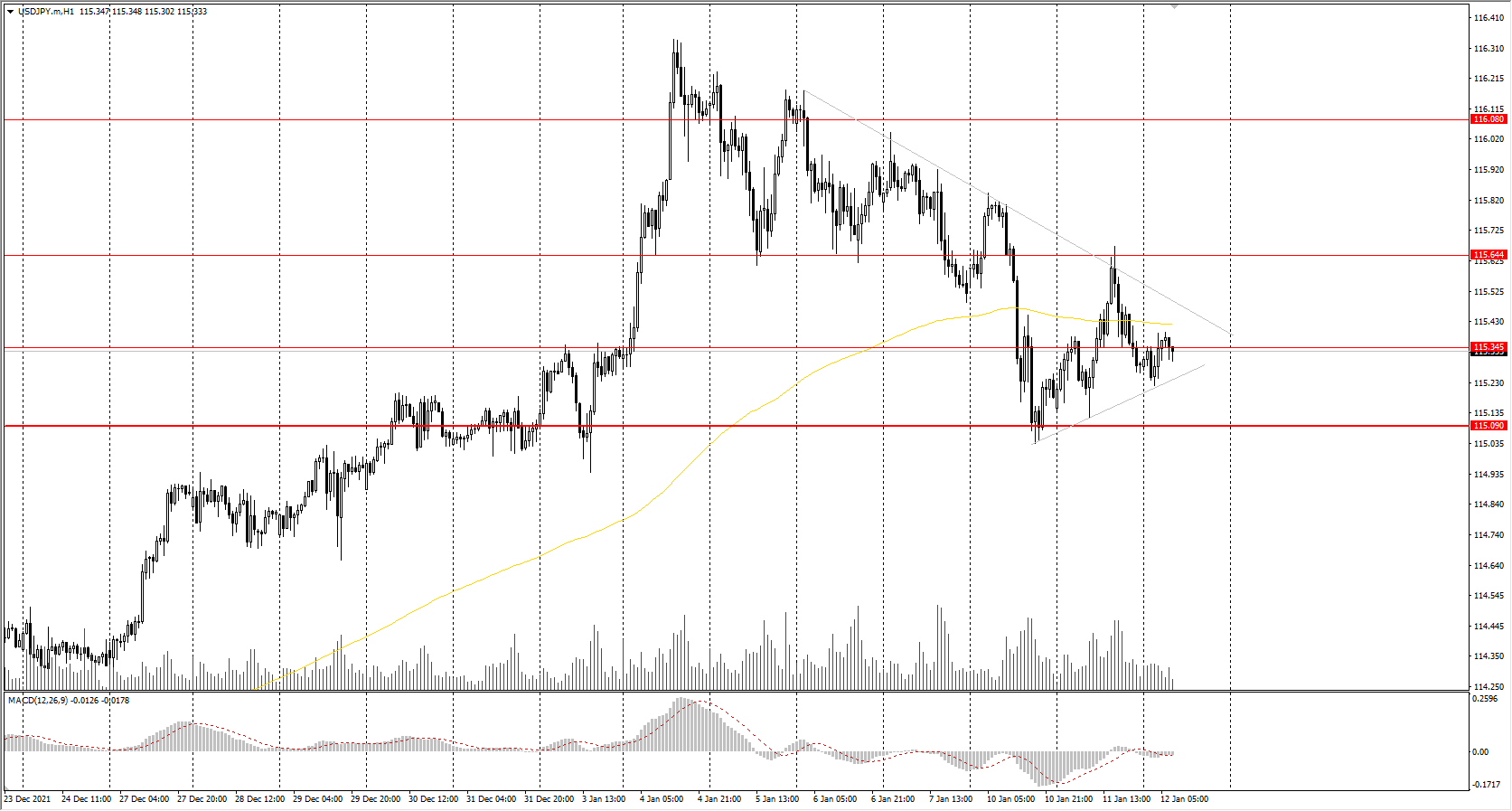  The USD/JPY currency pair 