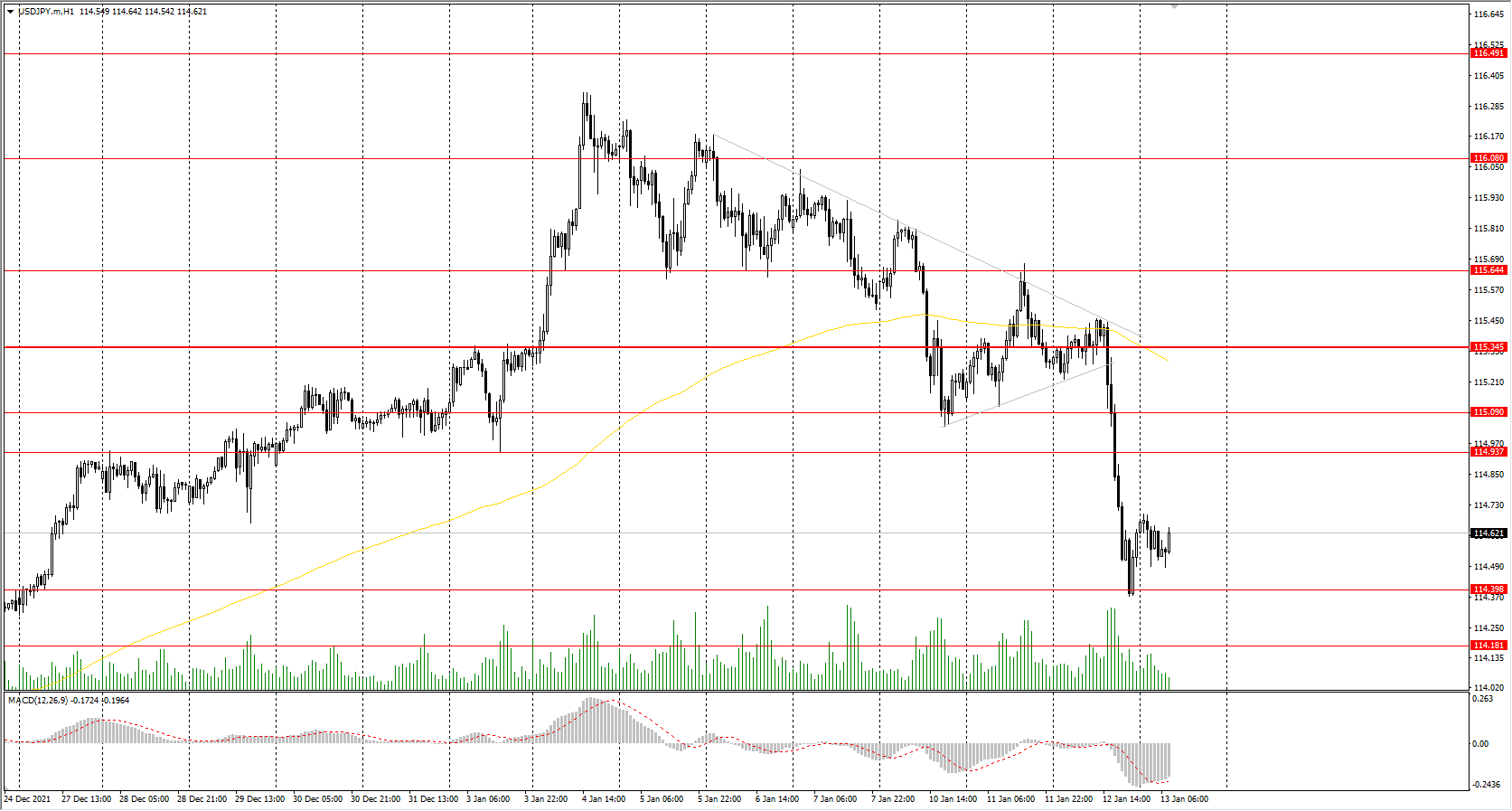  The USD/JPY currency pair 