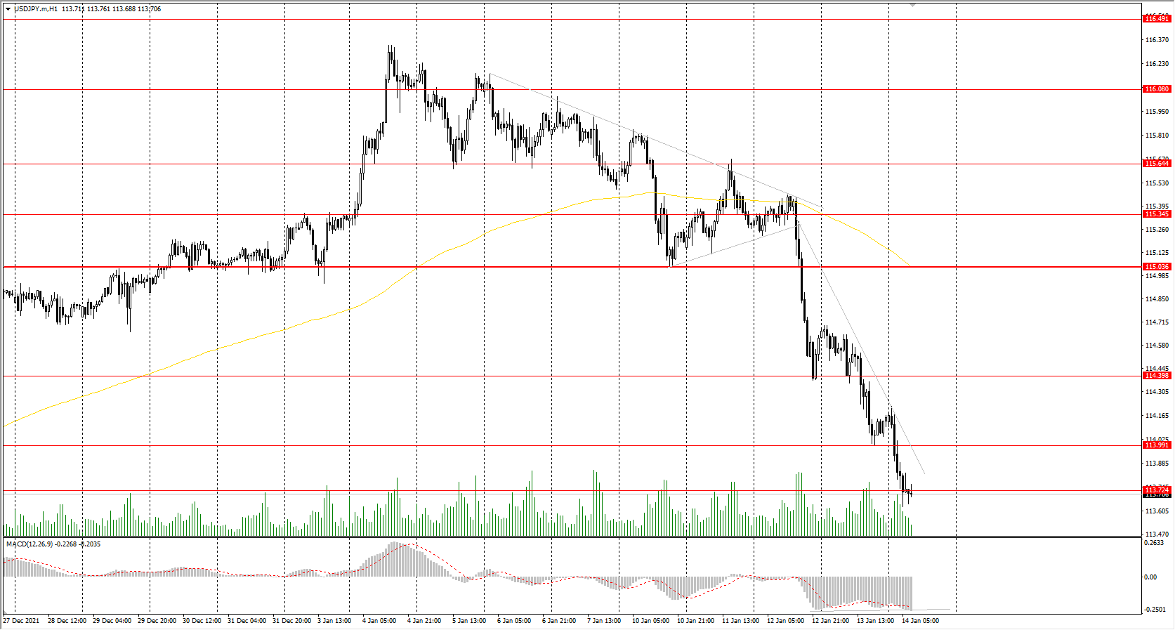  The USD/JPY currency pair 