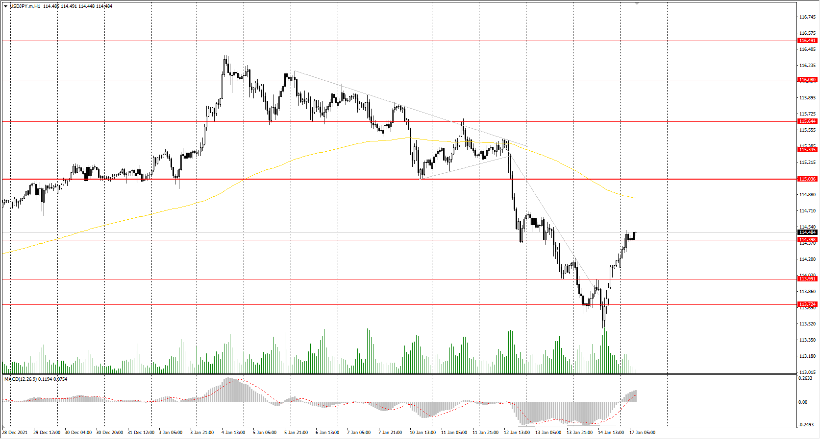  The USD/JPY currency pair 