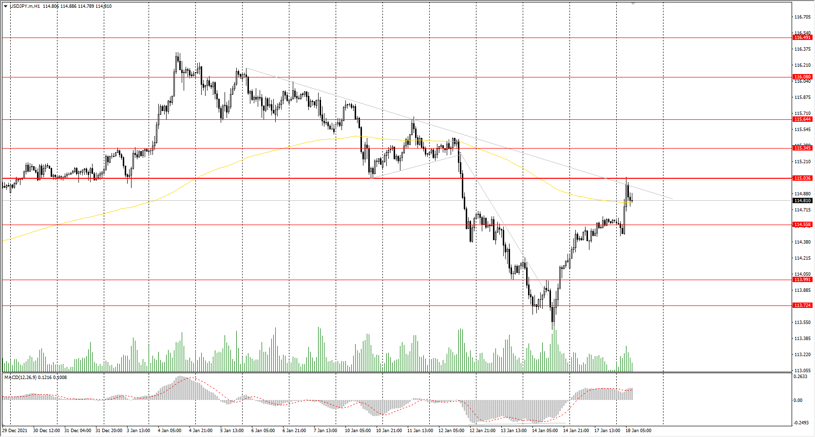  The USD/JPY currency pair 