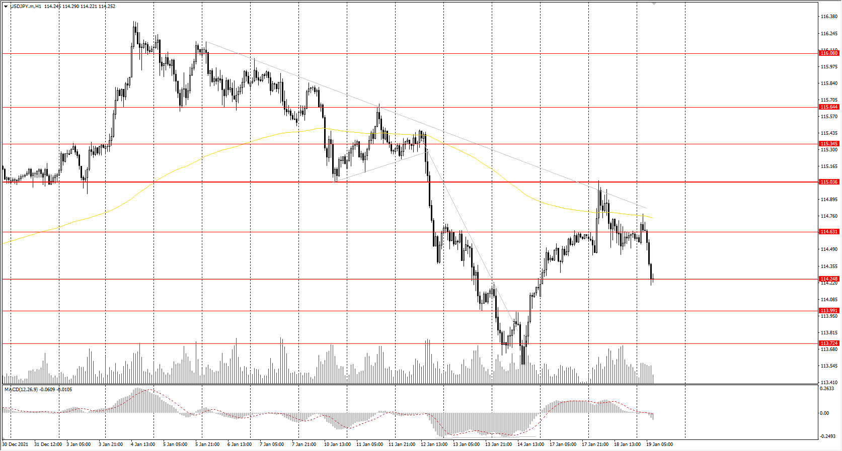 The USD/JPY currency pair 