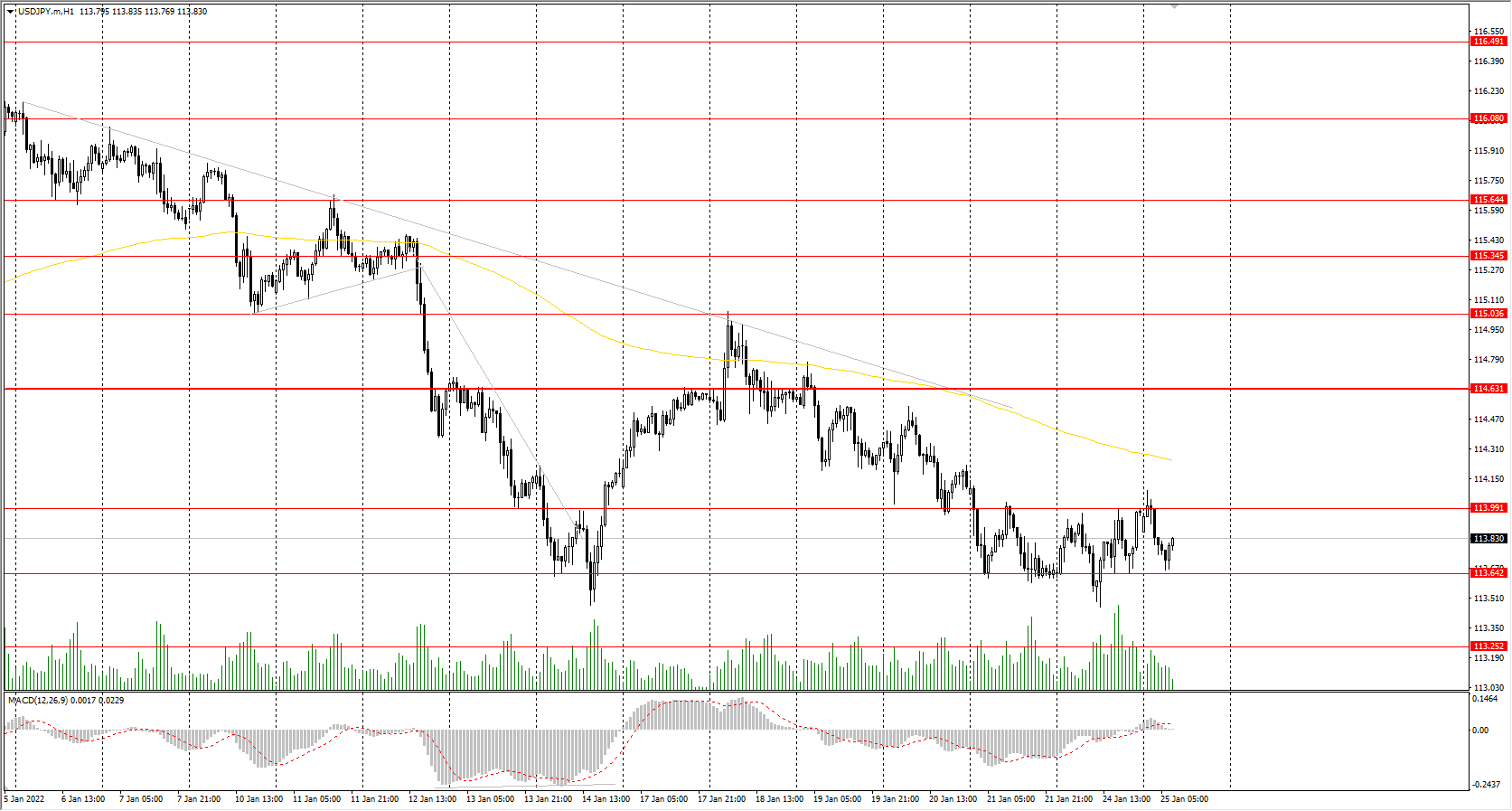  The USD/JPY currency pair 