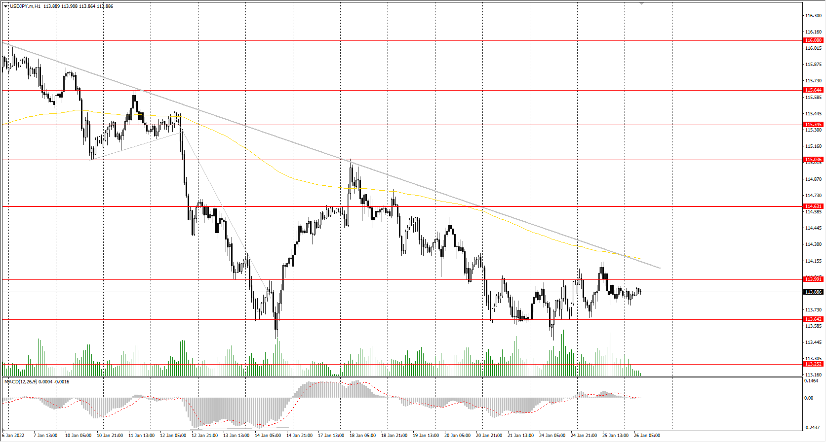 The USD/JPY currency pair 