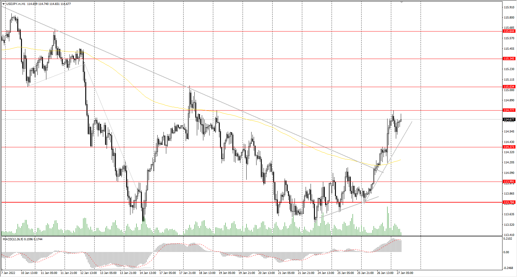  The USD/JPY currency pair 