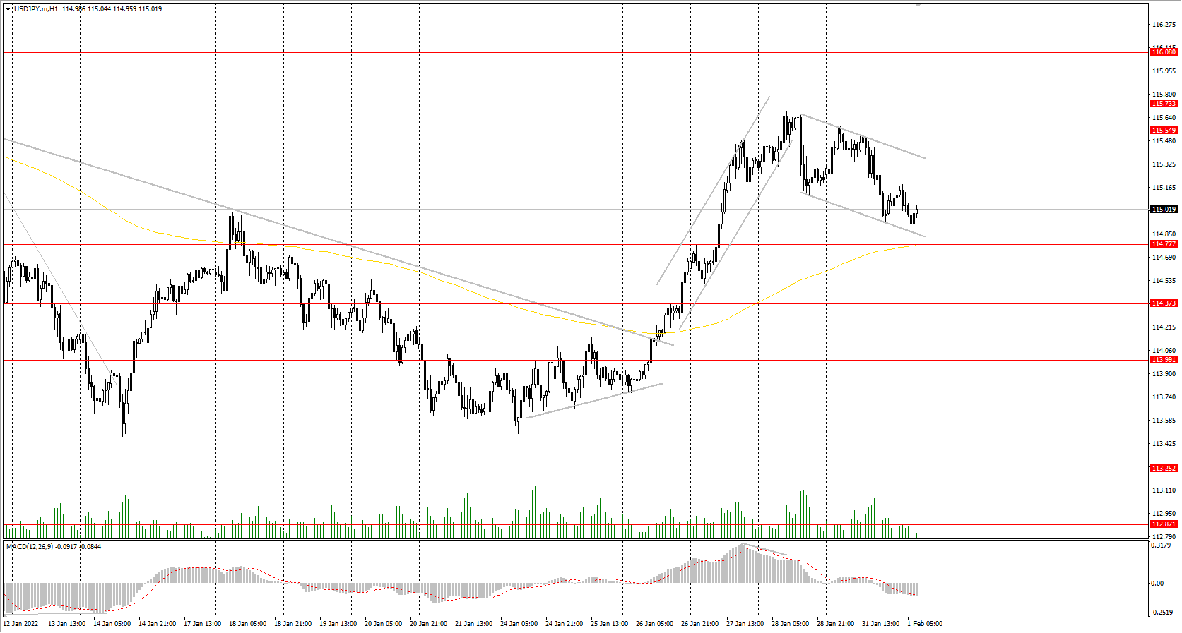  The USD/JPY currency pair 