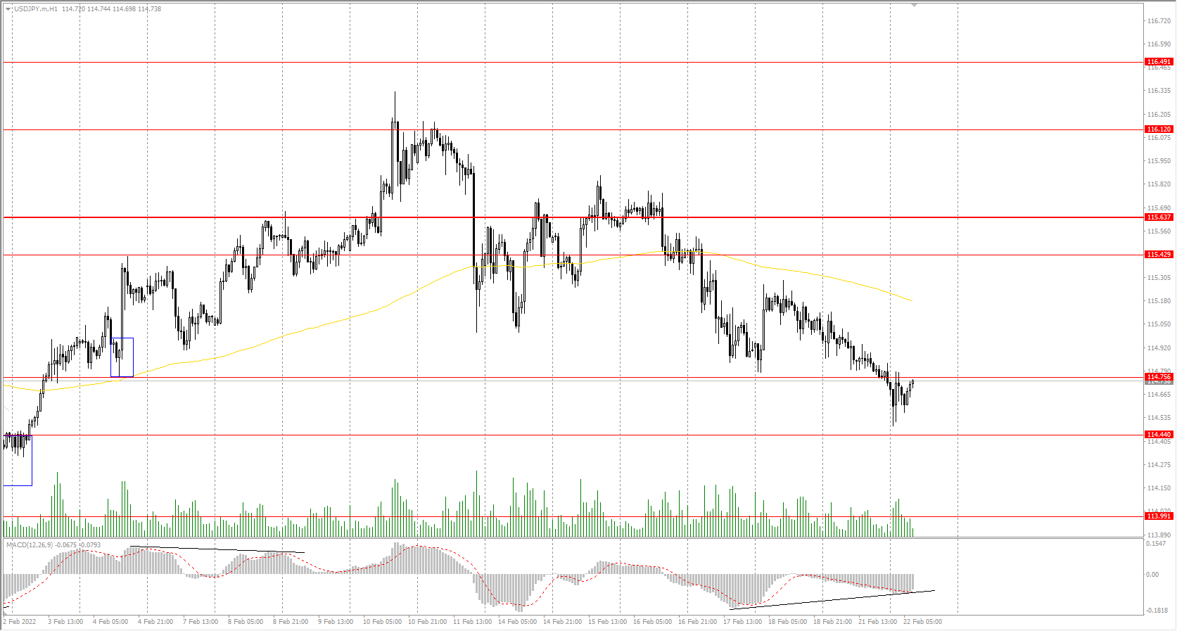  The USD/JPY currency pair 