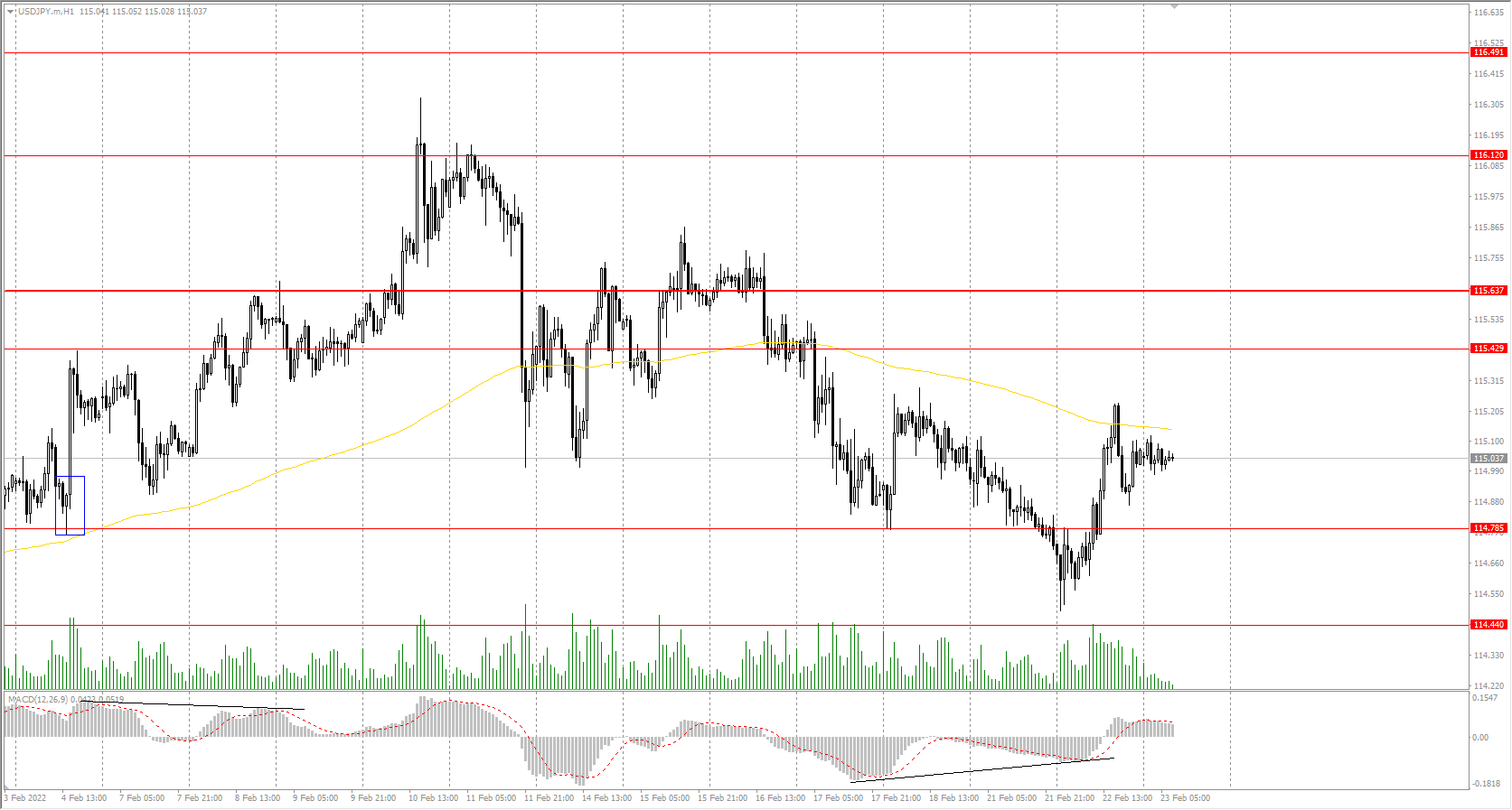  The USD/JPY currency pair 