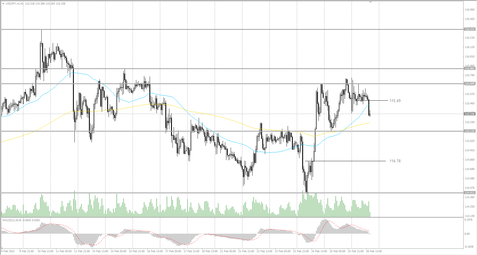  The USD/JPY currency pair 