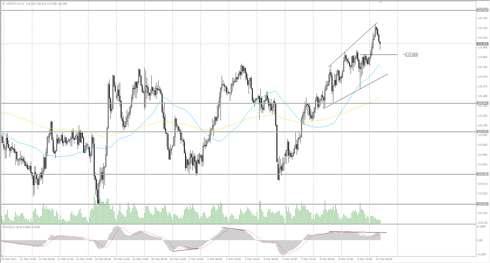  The USD/JPY currency pair 