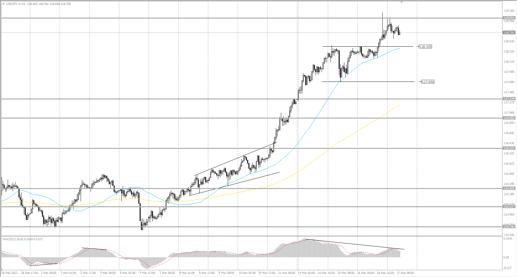  The USD/JPY currency pair 