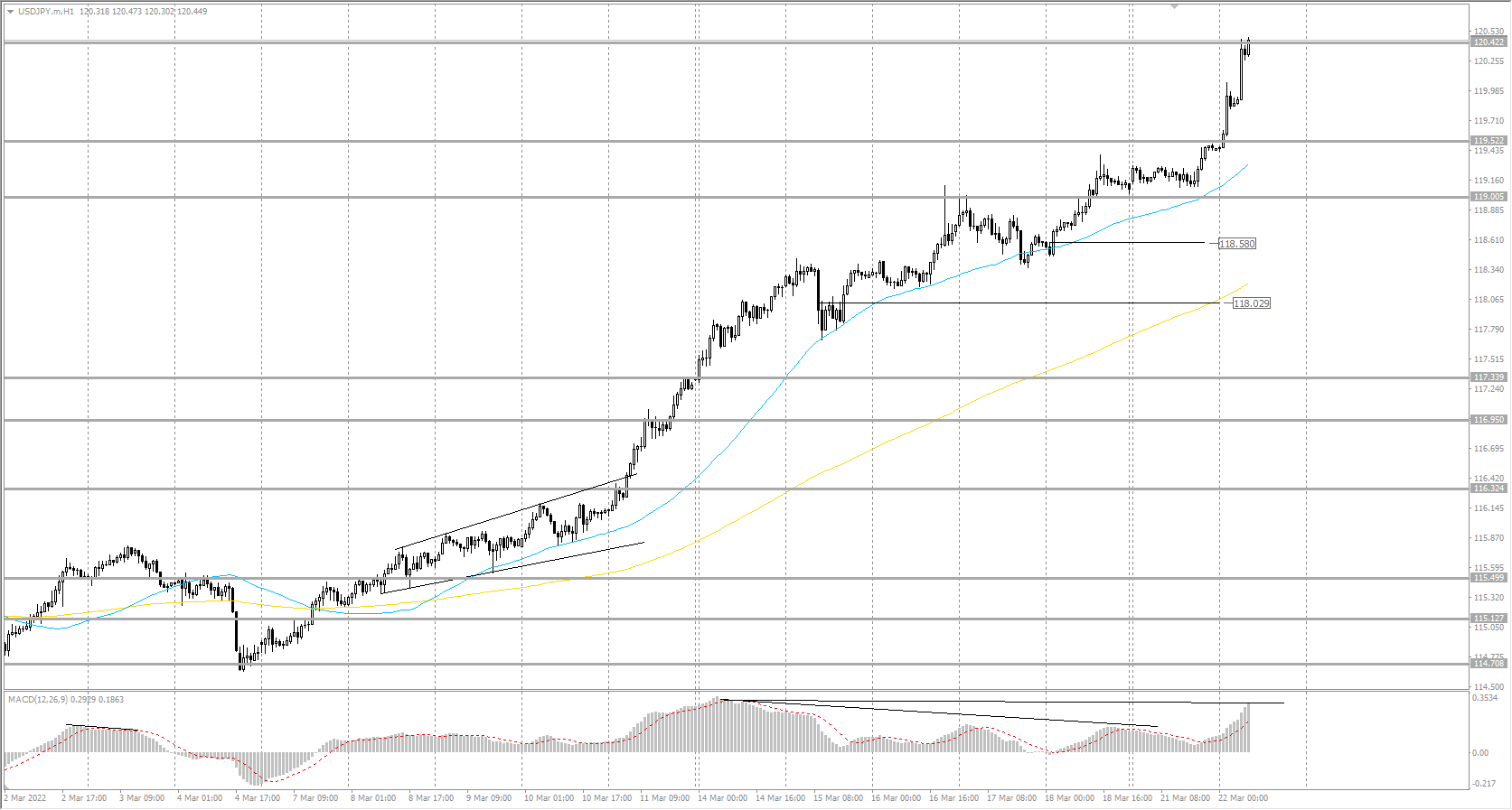  The USD/JPY currency pair 