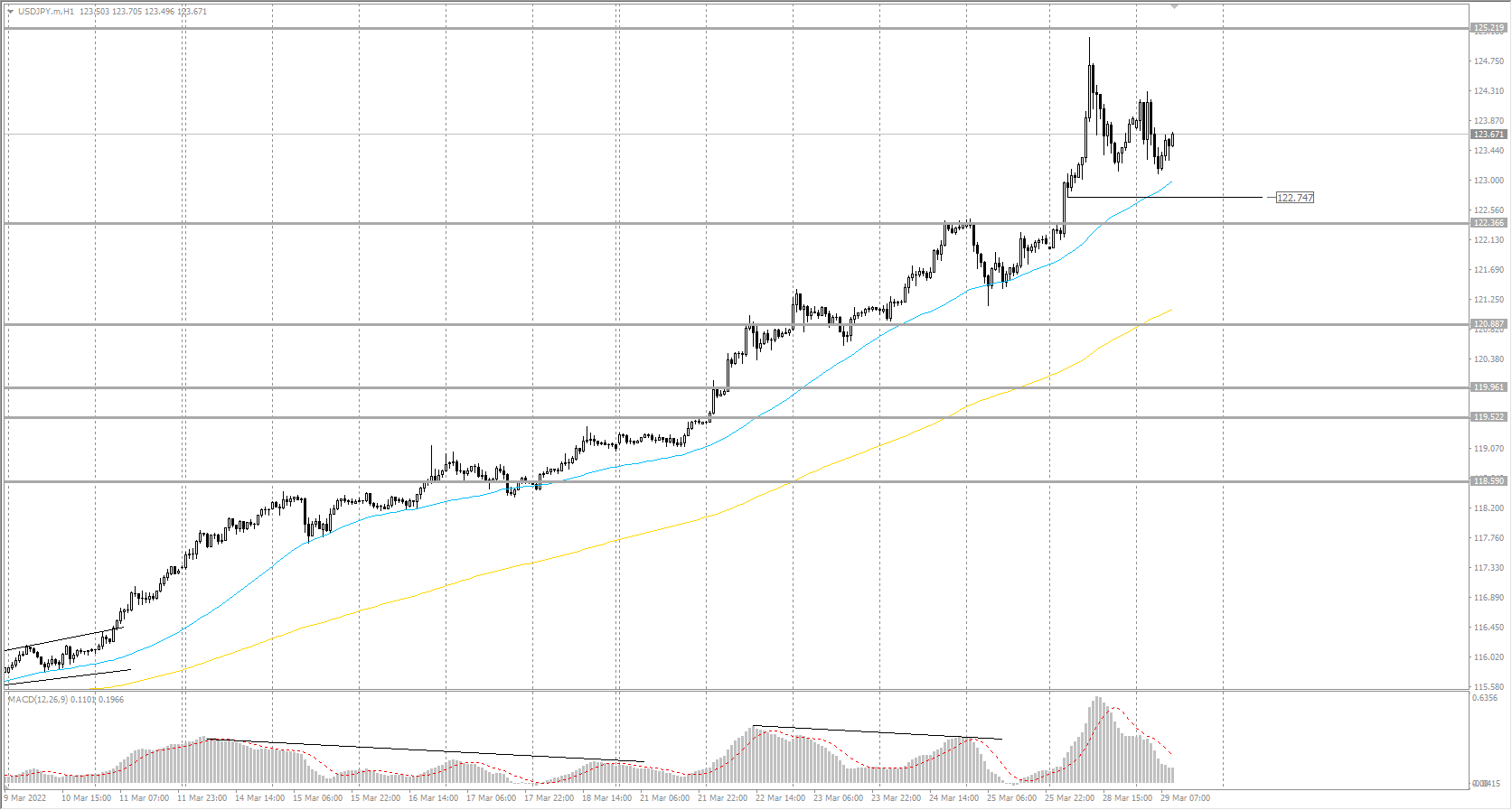  The USD/JPY currency pair 