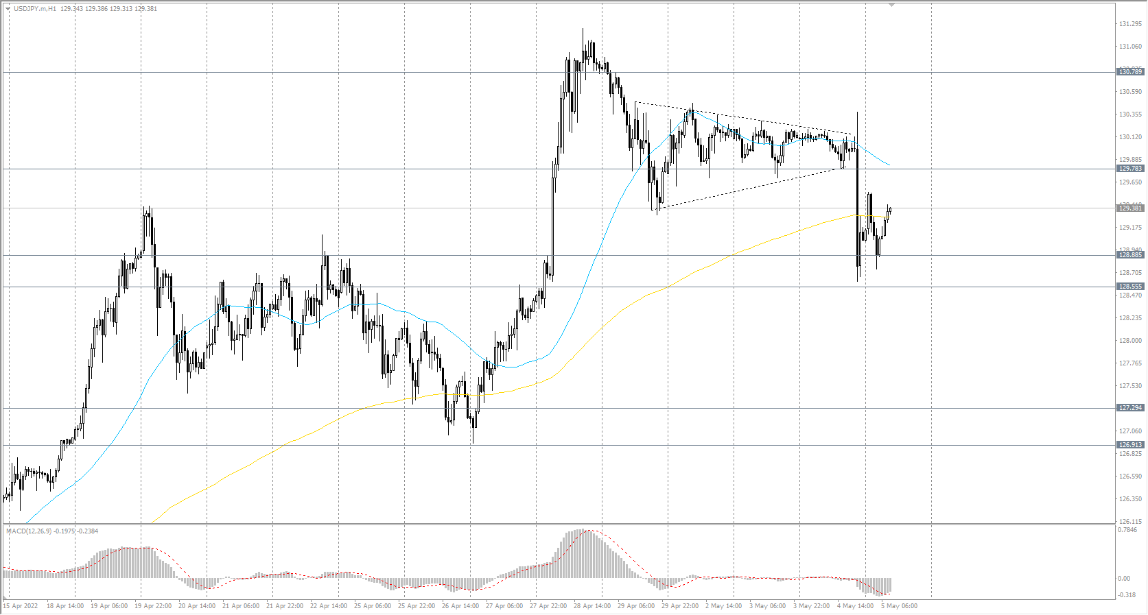  The USD/JPY currency pair 