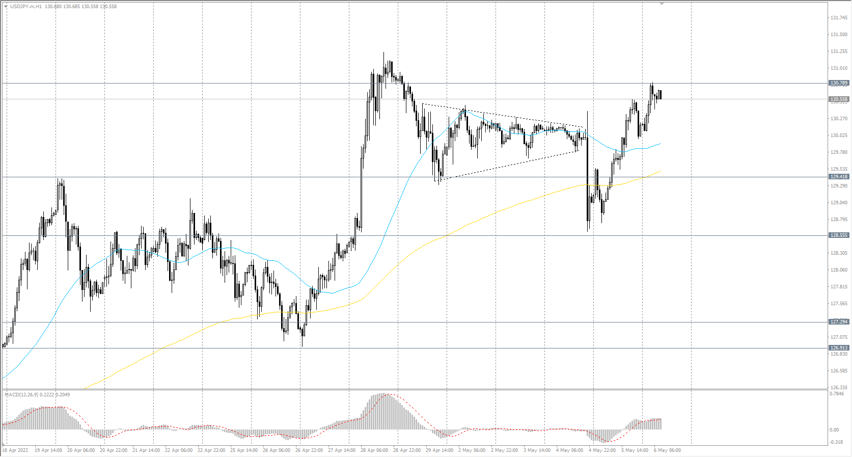  The USD/JPY currency pair 