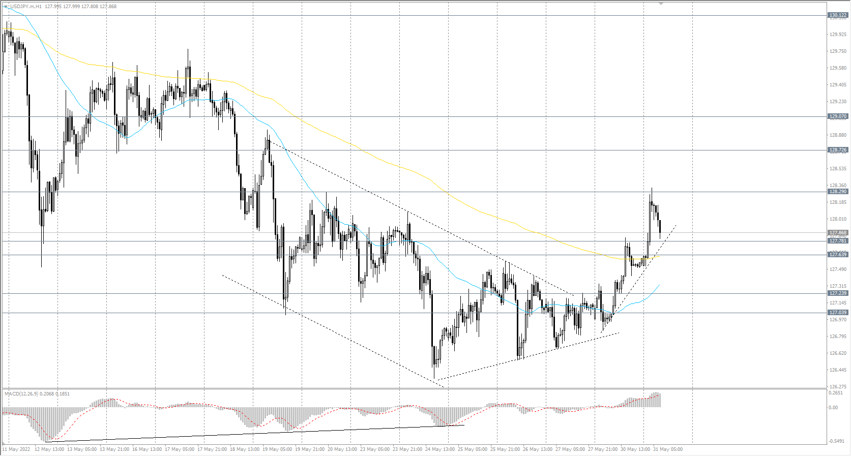 The USD/JPY currency pair 