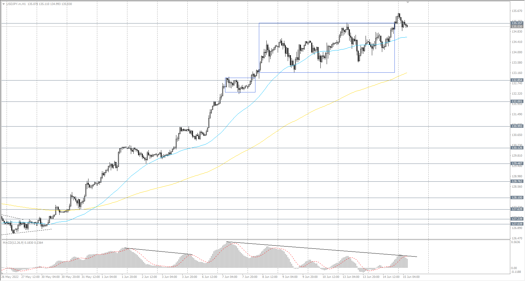 The USD/JPY currency pair 