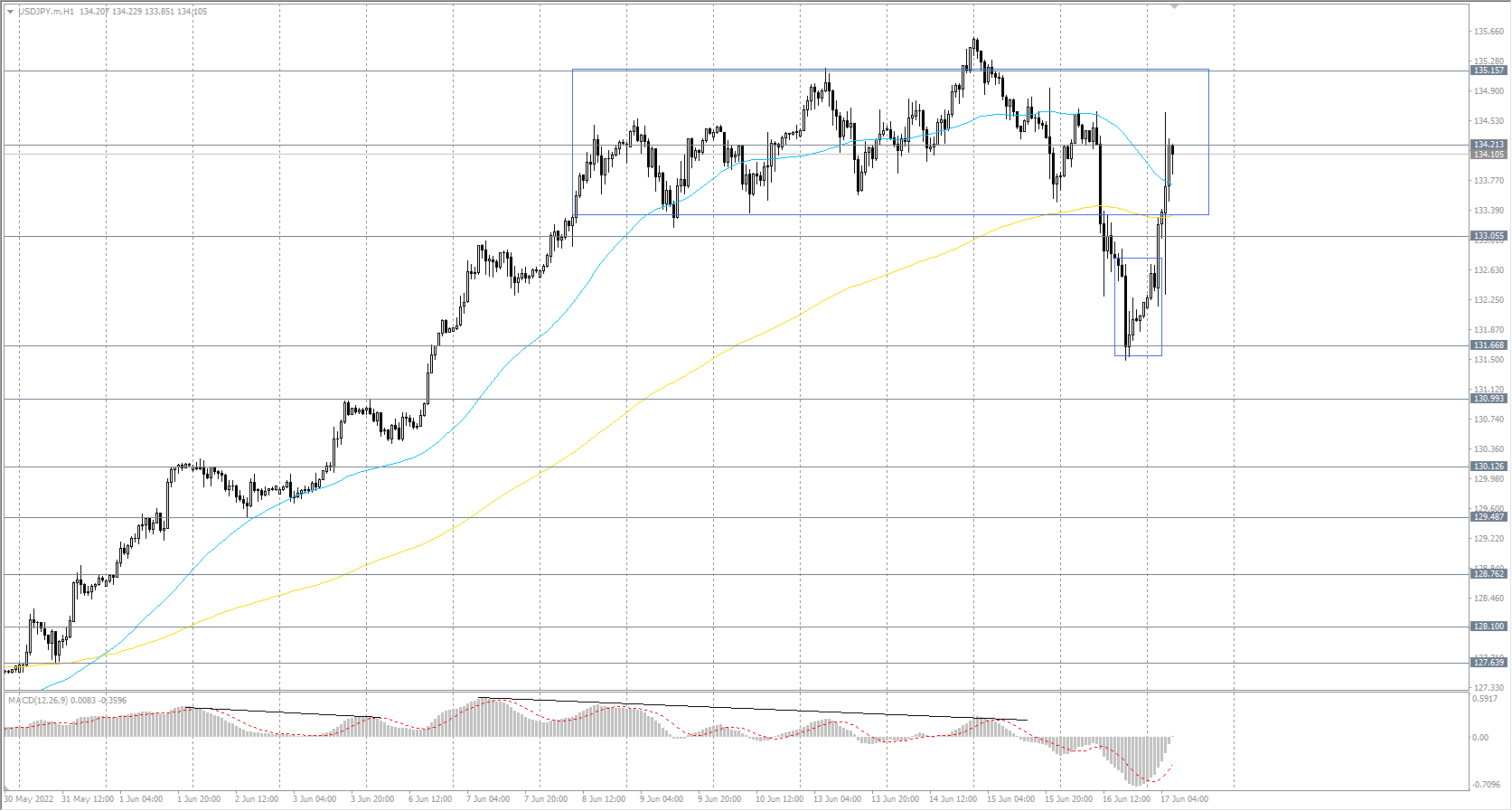  The USD/JPY currency pair 
