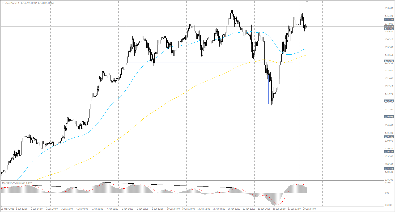  The USD/JPY currency pair 