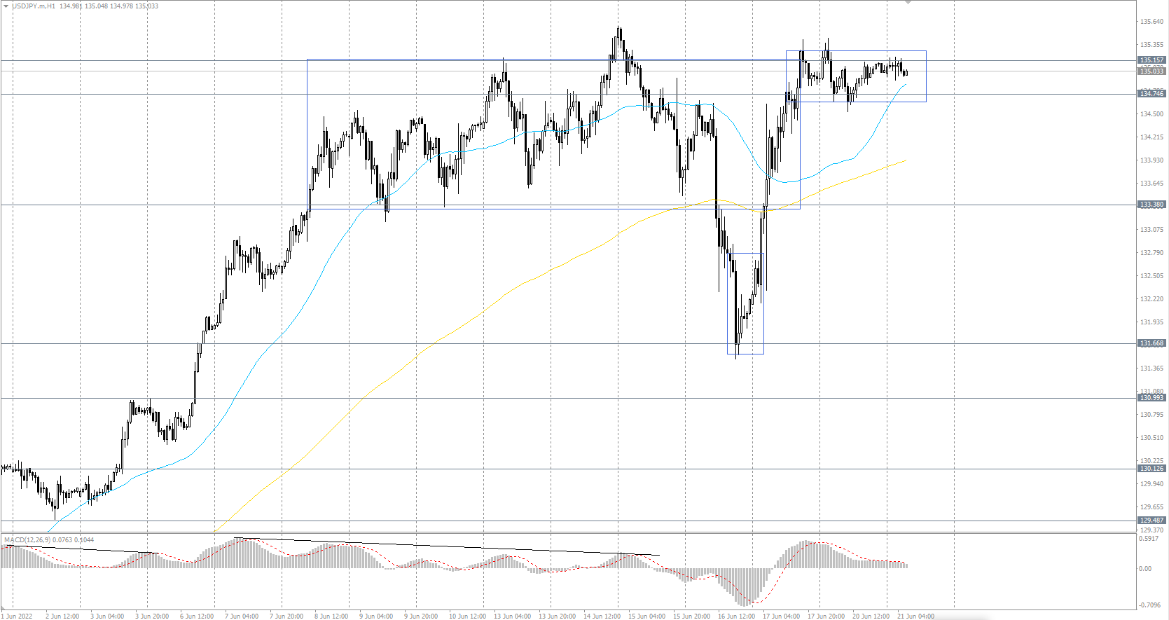  The USD/JPY currency pair 