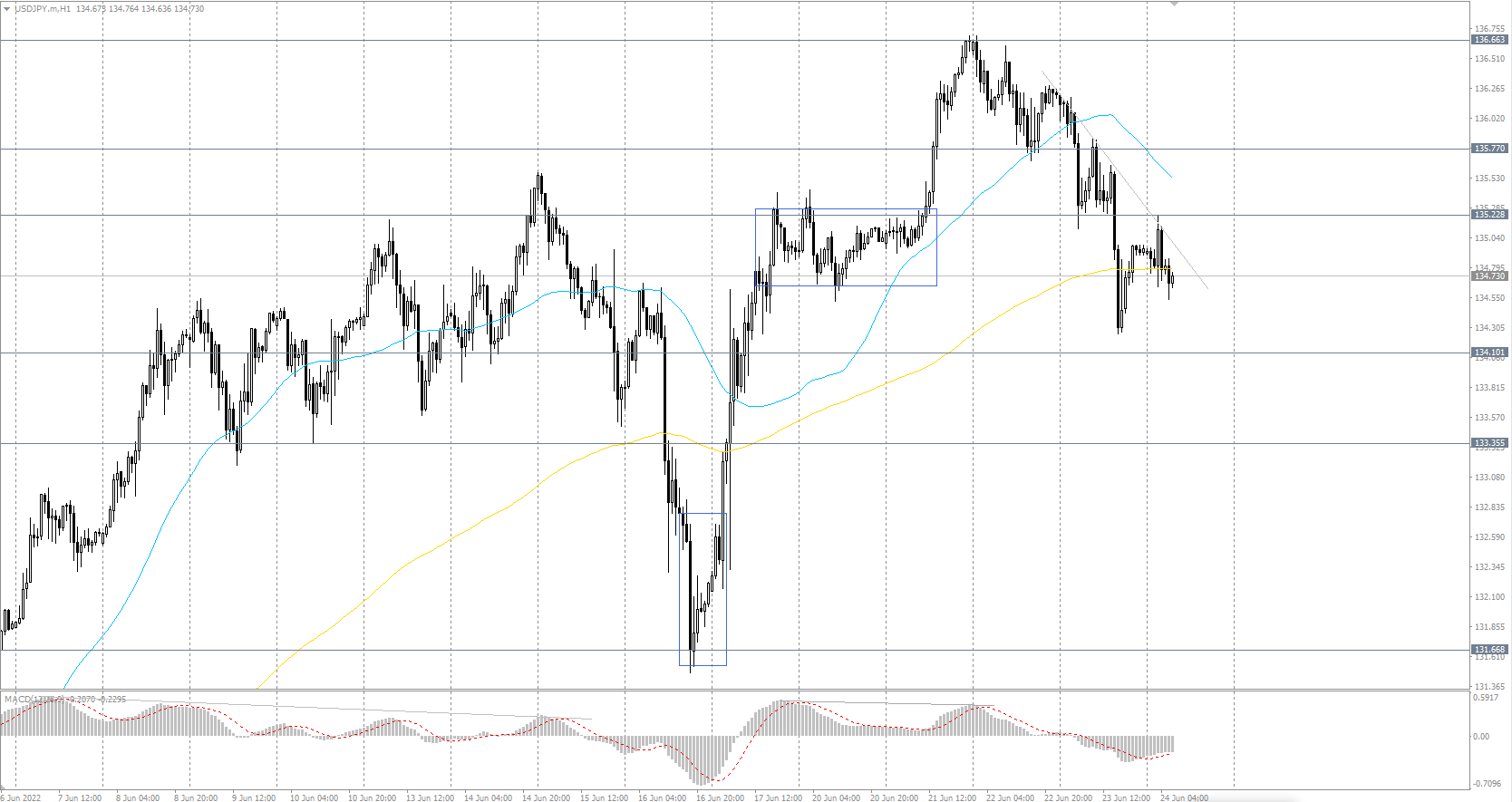  The USD/JPY currency pair 