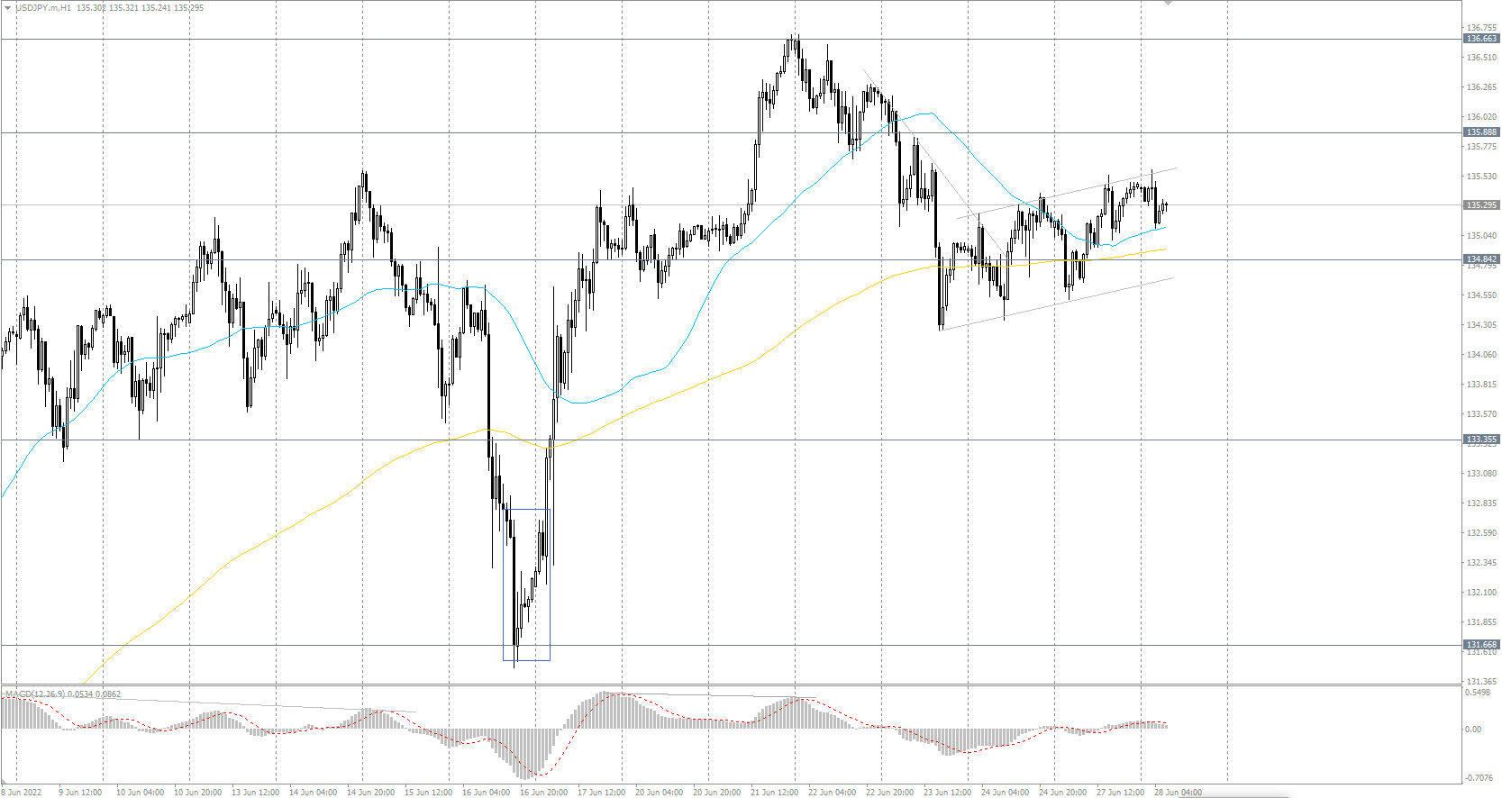  The USD/JPY currency pair 