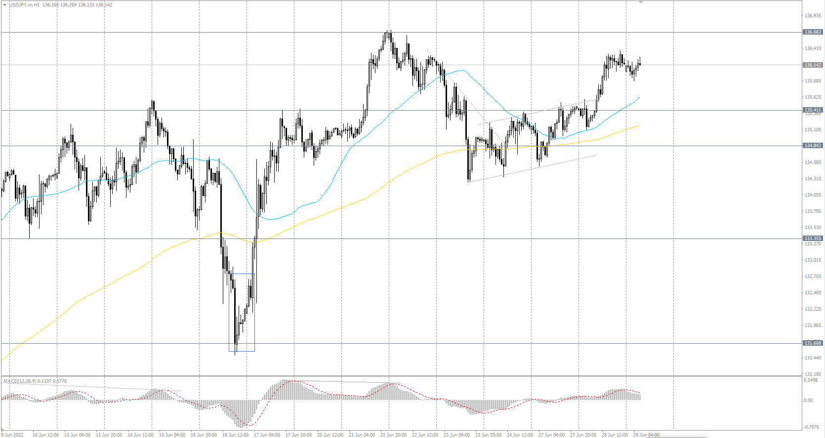  The USD/JPY currency pair 