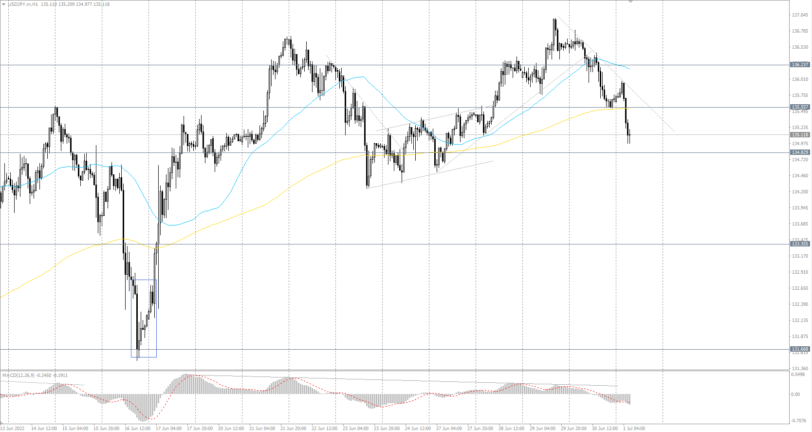  The USD/JPY currency pair 