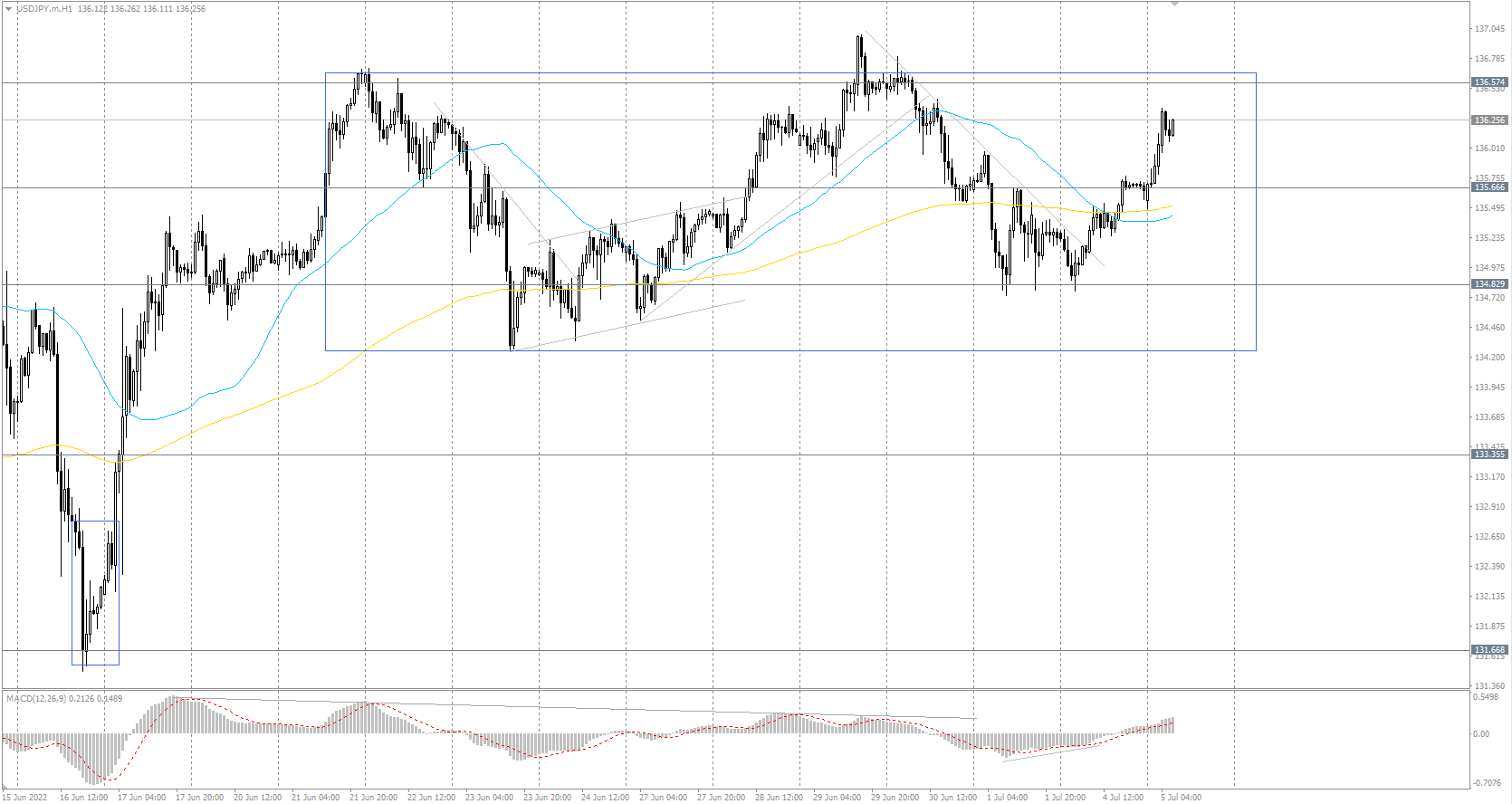  The USD/JPY currency pair 