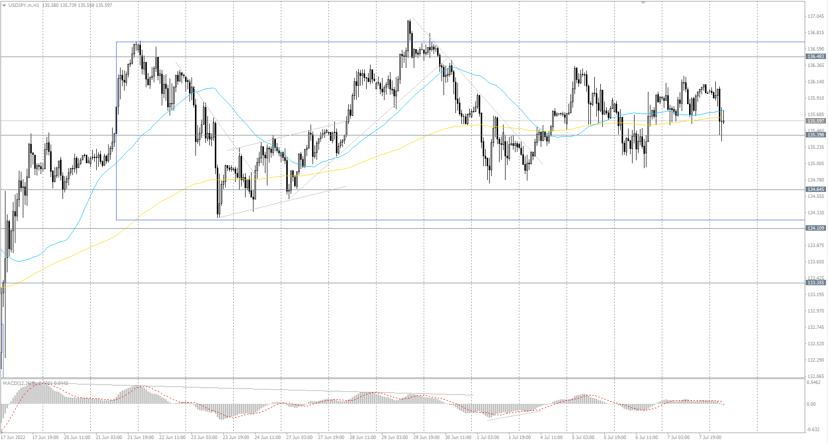  The USD/JPY currency pair 